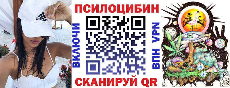 где купить наркоту  Пошехонье  Галлюциногенные грибы MAGIC MUSHROOMS 